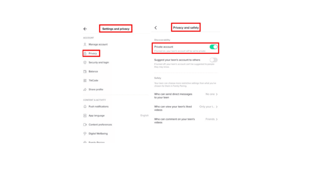 TikTok: Privacy Setting