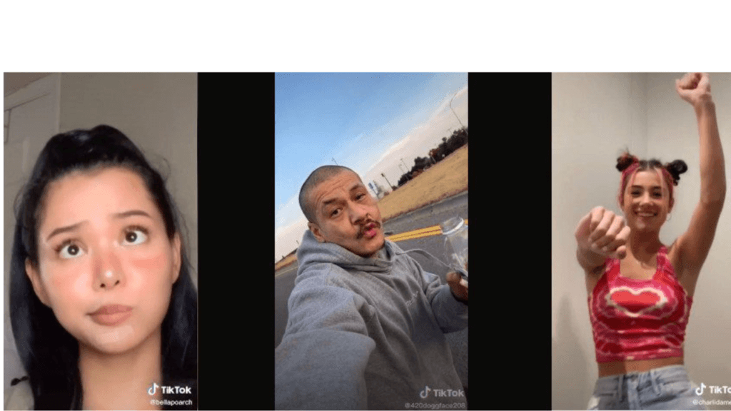 TikTok: Popular TikTok Trends