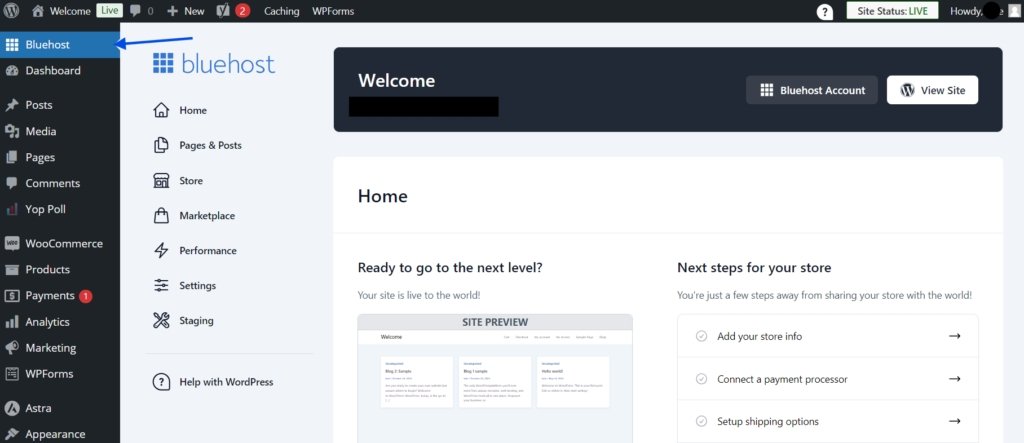 web hosting services: the Bluehost dashboard.